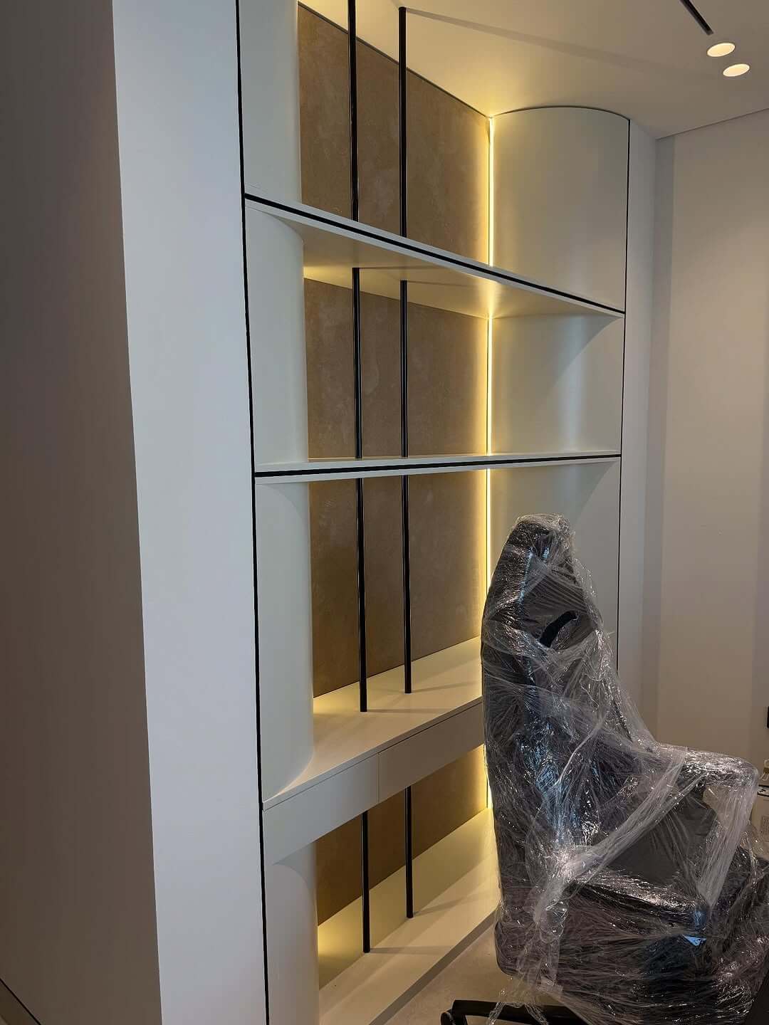 Luxury Interior Work 17